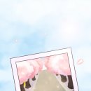 부산언니