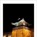 수원 티스토리