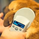 힐스타동물병원 이미지