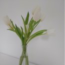 청록푸드(주) 이미지