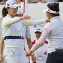 메간 캉에게 LPGA 첫승 안긴 고진영의 '흐뭇한 미스샷' 이미지