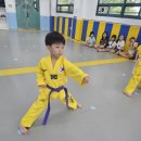 용인대 석사 서울시 대표 태권도 | 성장발육 위한 우리아이 운동 신대방 태권도 용인대석사강담태권도 추천