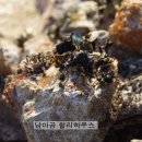에델바이스민박 네이버블로그