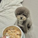 멍이네 이야기 이미지