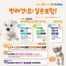 굿펫 이미지