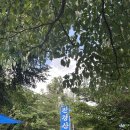 용곡산장 | 광양계곡 어치계곡 '진경산장' 예약, 주차, 평상대여, 식사까지
