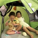 오치초병설유치원 이미지