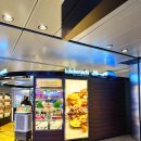 1397 | 도하 공항 알무르잔 라운지, 도하-카사블랑카 (QR1397) A350-900 비즈니스 탑승 후기 (큐스위트 아님)