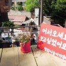 더큰숲아카데미