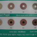 검안아이케어안경 이미지