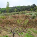 기운농장 이미지