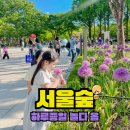 11620-8-43-2 | 서울숲 놀거리 아이랑 나들이, 서울국제정원박람회 하루종일 놀고 온 후기