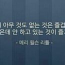 데일리 207 이미지