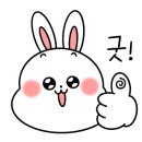 베리애견미용 네이버블로그