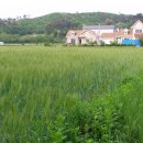 은빛모텔 이미지