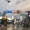 한라도니 이미지