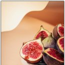 자연의모든것 이미지