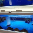 동백로29번길 이미지