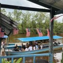 반딧불 | 봉가완 맹그로브 원숭이 먹이주기, 선셋 &amp; 반딧불 투어 후기