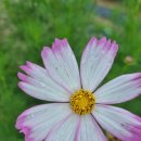 복전2리(복전)경로당 이미지