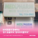 정자우리들 이미지