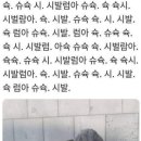 건영슈퍼 네이버블로그
