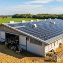 태양축사 이미지