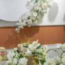 아로운 | 돌잔치준비 :: 부산더파티 범일점 부산돌스냅 로아로운스냅 촬영 후기