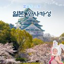 24시카마스터 | 오사카성 입장료 가는 법 시간 티켓 할인받는 법