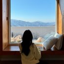 김삿갓면-5 | 영월 감성숙소 별하담 후기｜D동에서 경험한 불멍 + 바베큐