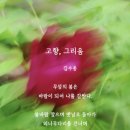 무섬연가 이미지