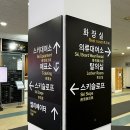 [평창] 알펜시아 스키장 (리프트권 구매, 브라보 슬로프, 주차 정보)