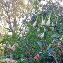 알찬농장 이미지