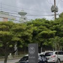 (주)제주케이여행사 | 노플래너 신부의 제주스냅 후기｜케이살롱 드레스+헤메+헬퍼 (찐)후기 (feat.날씨요괴)