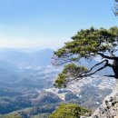 서대산 이미지