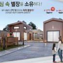 담빛스테이