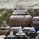 부여농부의집 | [부여] 부여 농부의집 촌캉스 댕겨온 후기