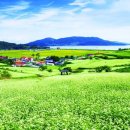 장흥 관광안내소 이미지