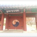 파주로 은행나무길 이미지