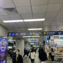 만쥬하나 이미지