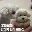 댕콤달콤 이미지