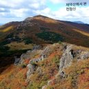 재약산 이미지