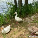 순천만국가정원 습지센터 야외공연장 이미지