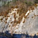 스트로마톨라이트 이미지