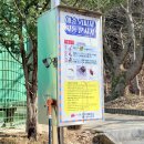 건지산숲속작은도서관 | 전주 여행 당일치기 코스 - 피톤치드 가득한 건지산 편백나무숲, 건지산숲속작은도서관