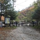자연알로(광덕) | 화천 캠핑장 화천마음이머무는곳캠핑장, 솔직한 방문 평가 — 광덕계곡 힐링 캠핑
