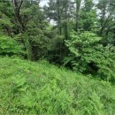 하원동-1 이미지