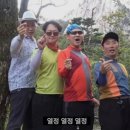 대한중소여행사협동조합 이미지