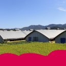 용인축협 현직임원,(영동고속도로주변 악취) 이미지