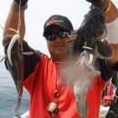 갈매기1호 이미지